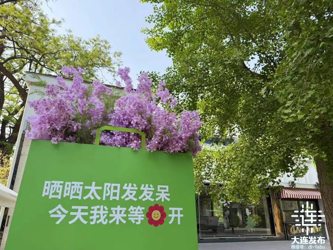 端午假期在大连畅快玩！j9九游会真人游戏第一(图14)