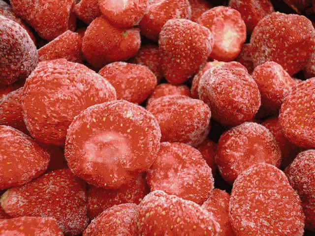 日迎客“开”在市中心！九游会网站12月20